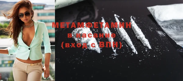 прущие грибы Белокуриха