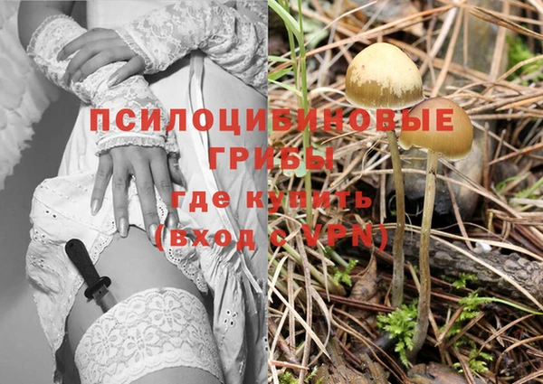 крисы Богородск