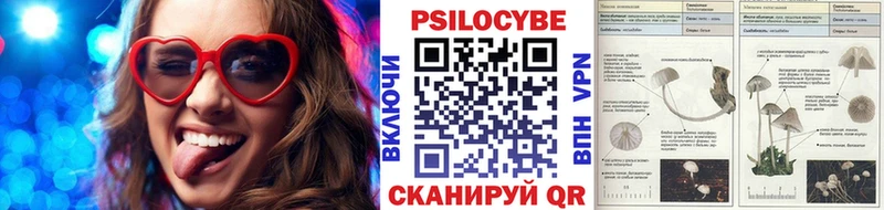 купить наркотик  Красный Кут  Псилоцибиновые грибы Cubensis 